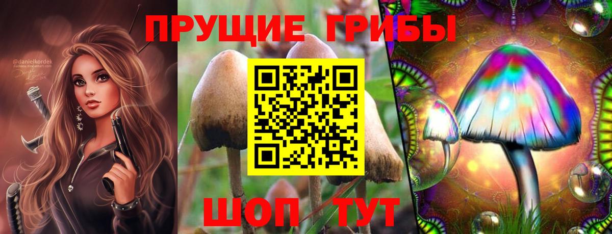 Псилоцибиновые грибы MAGIC MUSHROOMS Хасавюрт