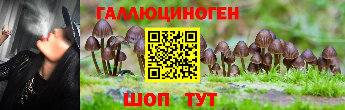 Псилоцибиновые грибы Cubensis  Вход с VPN  цена   Хасавюрт 